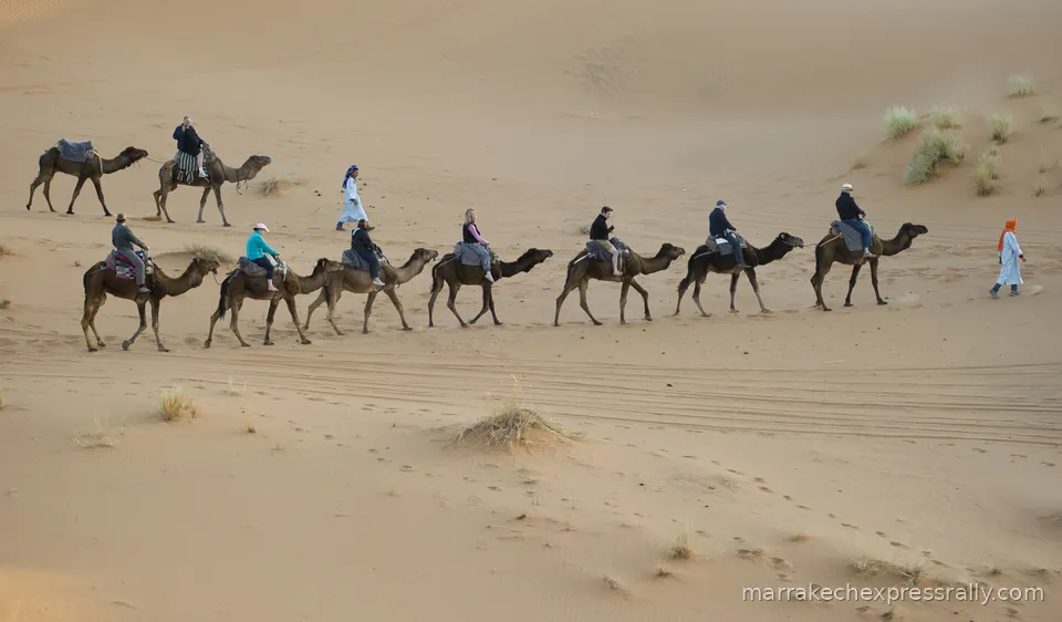 2cv Rally Morocco