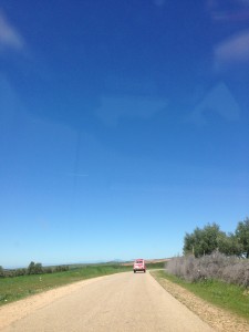 IMG_1197
