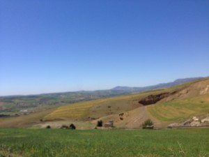 IMG_1204